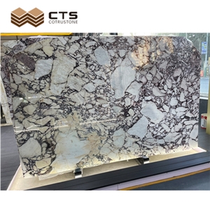 Calacatta Violet Marble Slab Tile Building Stone Indoor Wall