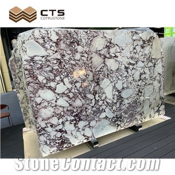 Calacatta Violet Marble Slab Tile Building Stone Indoor Wall