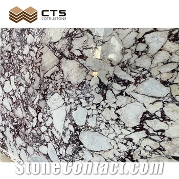 Calacatta Violet Marble Slab Tile Building Stone Indoor Wall