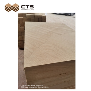 Teka Rosal Sandstone Gold Tiles Feature Grains House Design