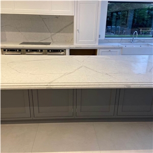 Well Konwn Bird White Artificial Quartz Kitchen Tops