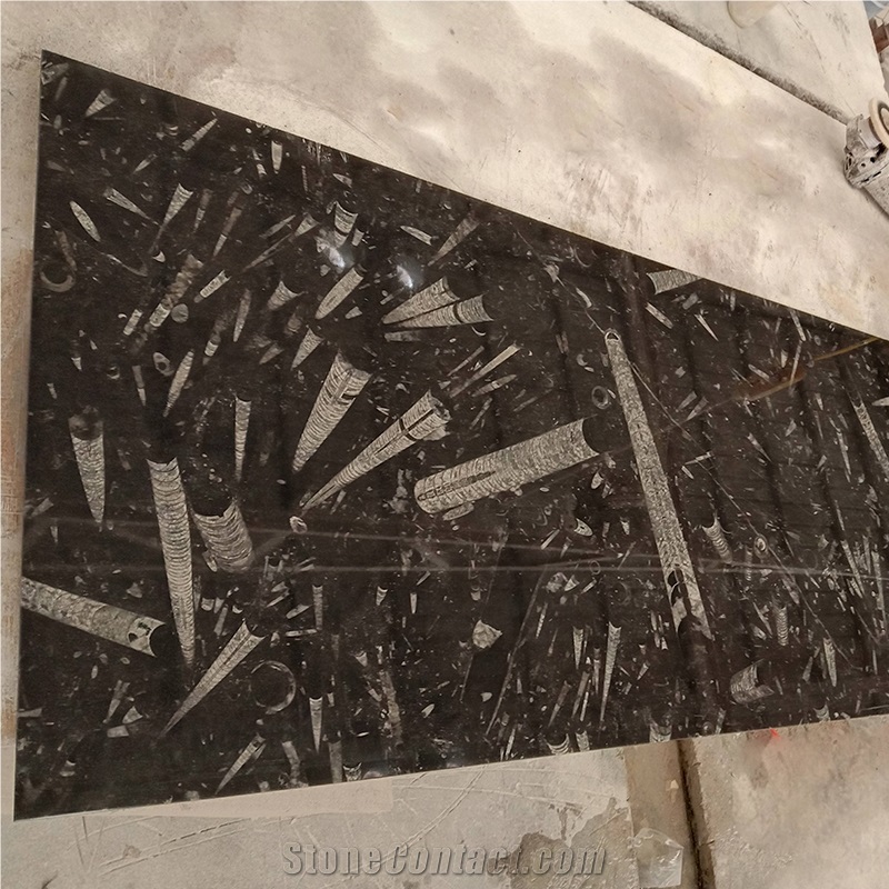 Wholesale Fossil Stone Black Marble Slab Tiles