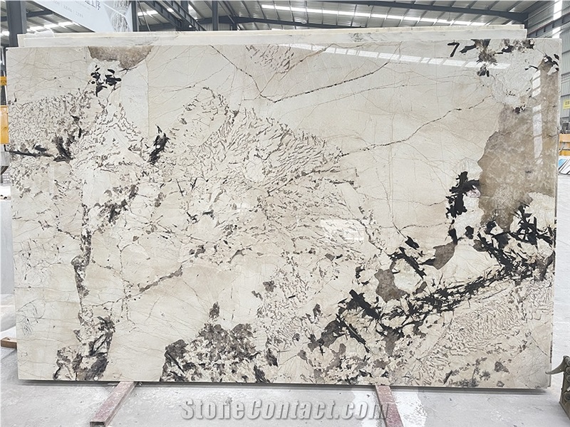 Patagonia Slab Brazil Quartzite Tile White Backsplash Wall