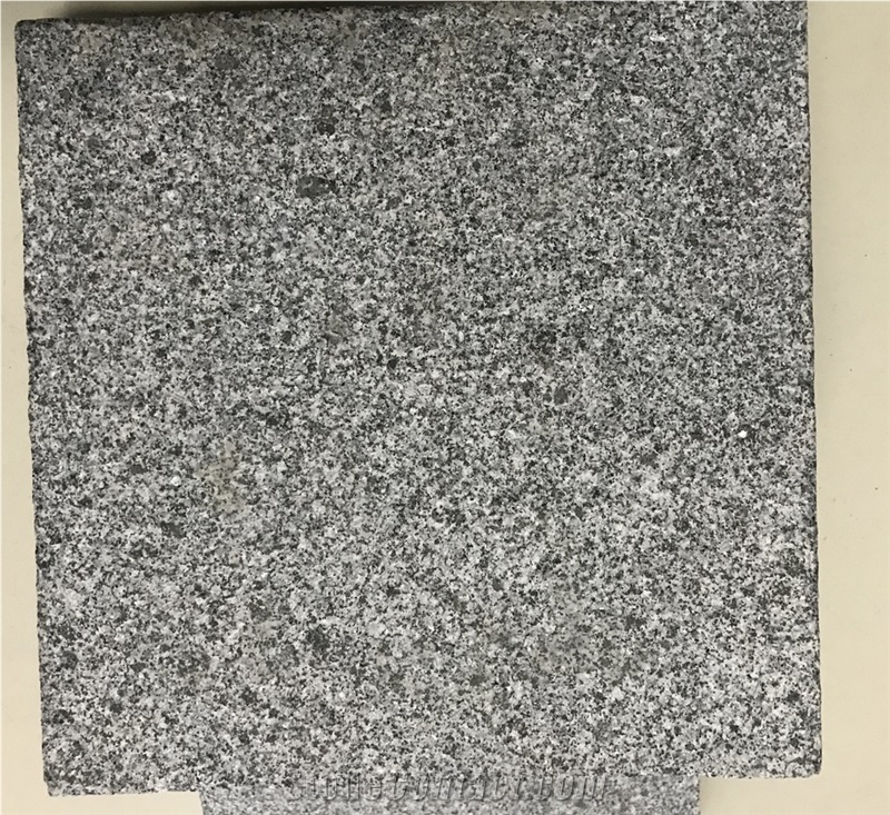 Wholesale Dark Grey Granite G654 New Quarry Flamed Paver
