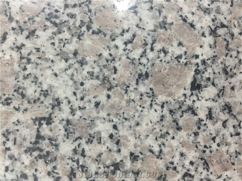 G383 Pearl Flower Granite Slabs,Gray Granite