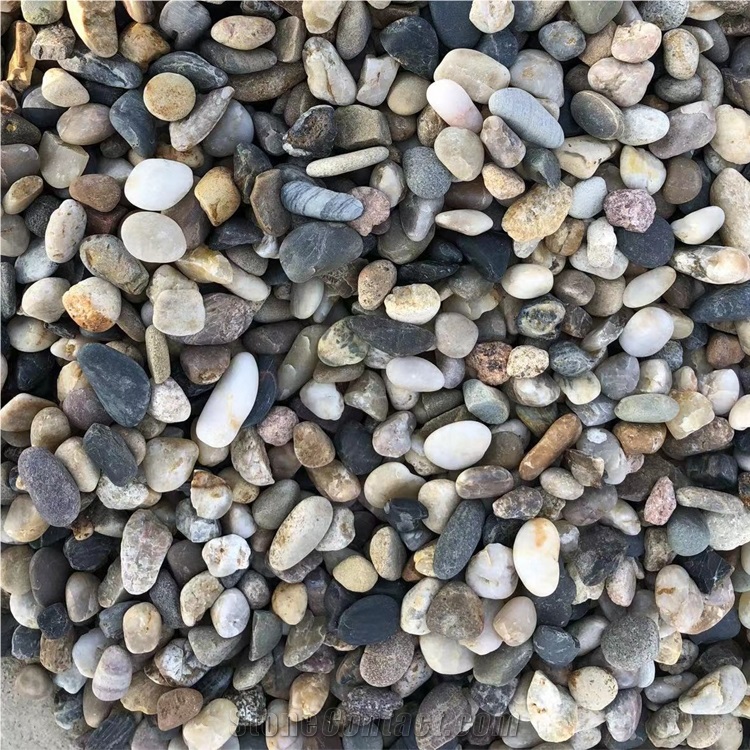 Factory Lower Price Multi-Color River Stone  For Garden