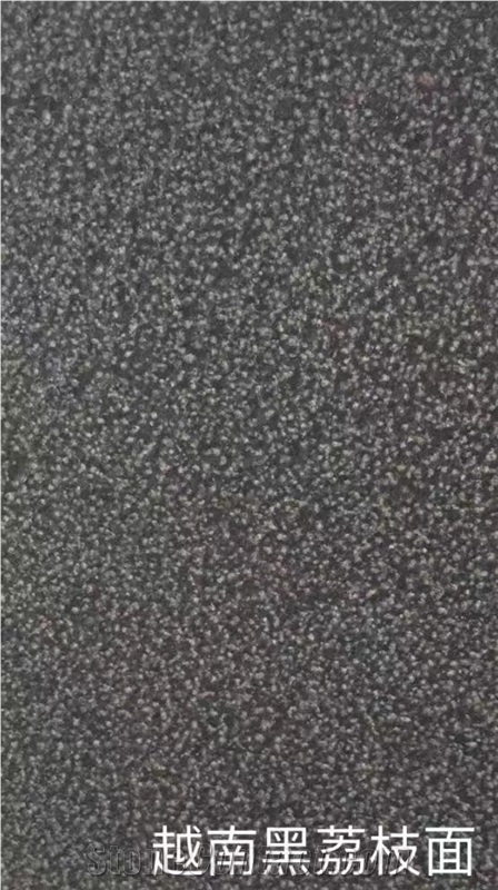 Cheap Vietnam Black Granite Slabs Used For Walls And Stairs