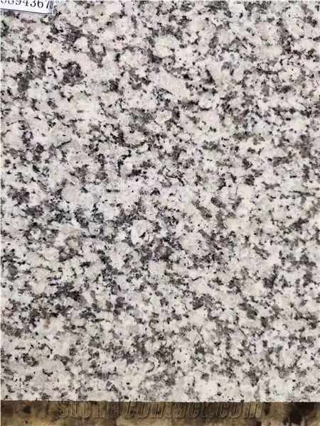 China Granite MC-G602 Polished Big Slab
