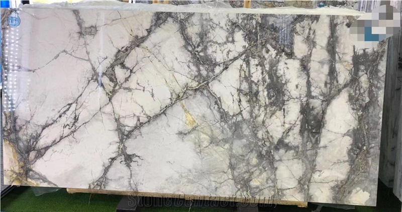 Invisible Grey With Black Veins Polished Marble Slab