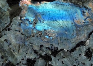 Labradorite Big Flower Luxury Granite Polished Slab