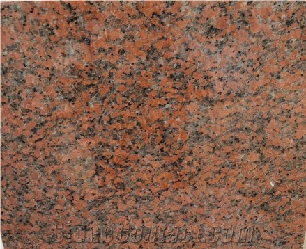 Popular Stone MAPLE Red G562 China Origin Granite Slab
