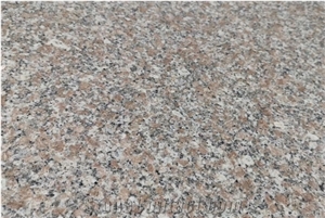 Quality Assured G648 China Granite Polished Slab