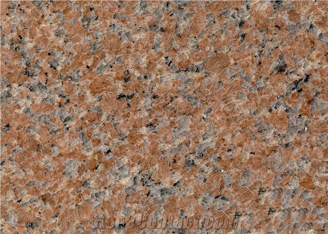 Reliable Quality G386 China Factory Granite Slab & Tile