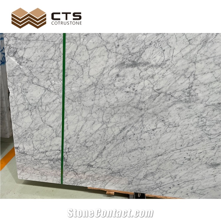 Carrara White Marble Economic Professional Factory Supplier