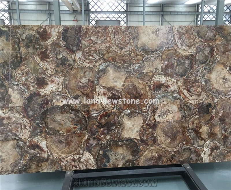 Brown Agate Petrified Wood Semiprecious Stone Slab For Wall And Floor