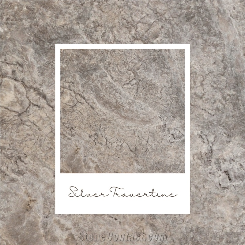 Silver Travertines - Natural Stone