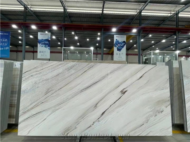 Italy Polished Natural Palissandro Chiaro Marble Tile Slab