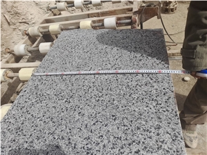 New Halayeb White Granite Slabs, Tiles