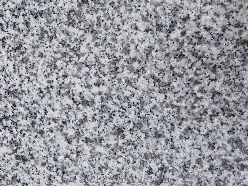 New G439 Grey Granite Polished Slab, China Grey Granite Tile