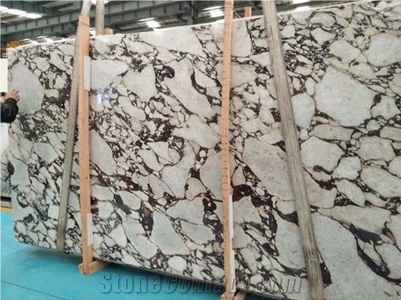 Calacatta Viola Marble Slabs For Wall Cladding