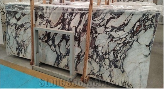 Calacatta Viola Marble Slabs For Wall Cladding