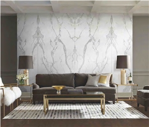 Carrara Marble Look TV Wall Sintered Stone