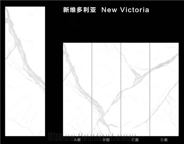 China Sintered Stone New Victoria Polished Slab