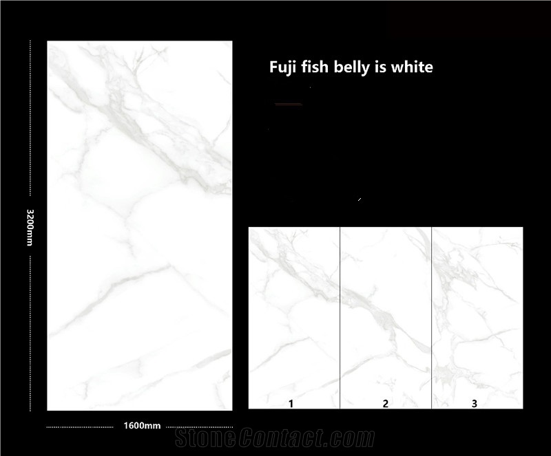 Fuji Fish Belly Is White Sintered  Stone Slab