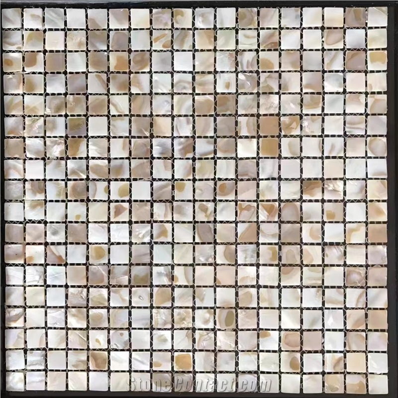 Mother Of Pearl Shell Mosaic Pattern Tile Nature