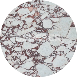Calacatta Viola Marble Tiles & Slabs