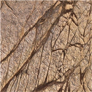 Rain Forest Brown Marble