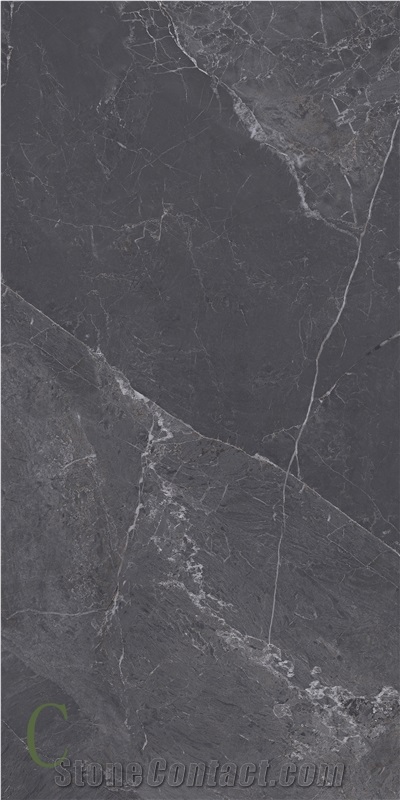 Picasso Dark Grey Sintered Stone Slab