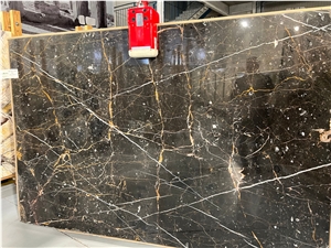 New Sant Laurent Marble Slabs