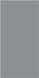 Sintered Stone Slabs Monterian Pure White
