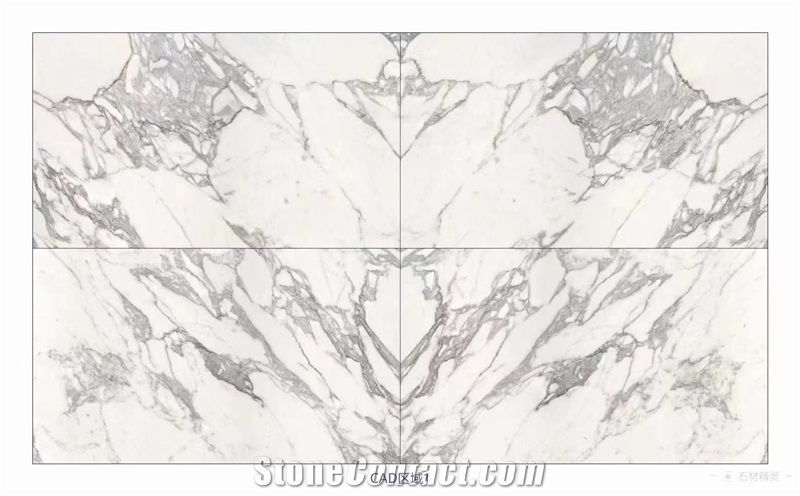 Italy Calacatta Marble Sketch Wall Panels