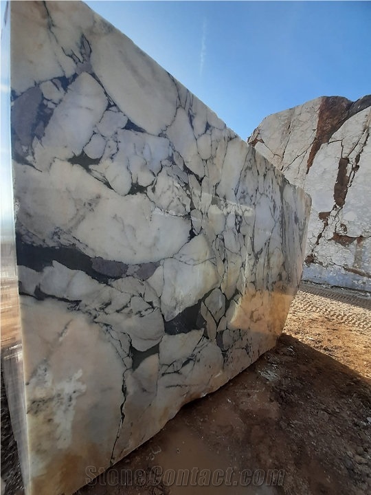 Calacatta Viola Marble Blocks