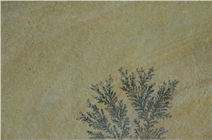 Fossil Mint Sandstone