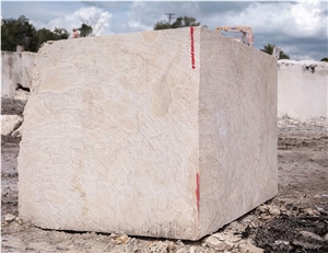 Boca Chica Coral Stone, Dominican White Coral Stone Blocks