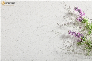 Diamond White GSV – 1201 Quartz Slabs