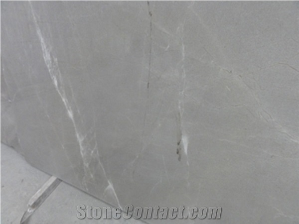 Light Grey Marble Slabs And Tiles With White Veins