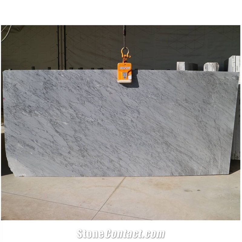 Light Grey Bardiglio Carrara Marble Slabs BL 13689