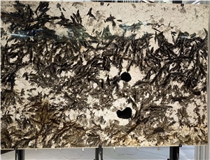 Brazil Alpinus White Polished Luxury Granite