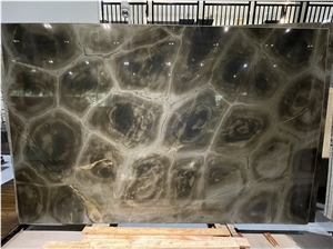 Verde Tortuga Quartzite Polished Quartzite