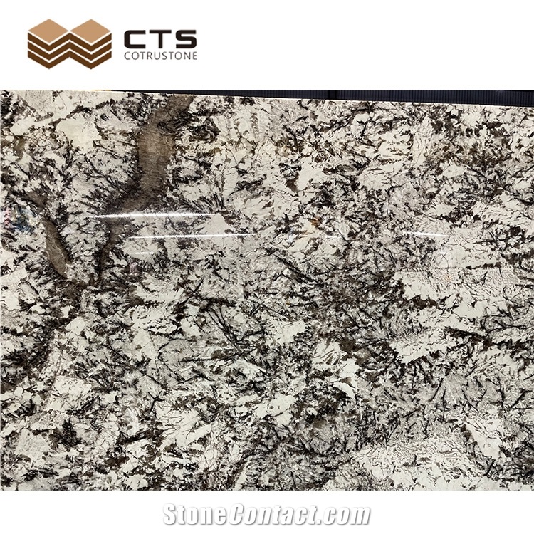 Fancy Pattern High Quality Marble Slab For Indoor Wall Decor