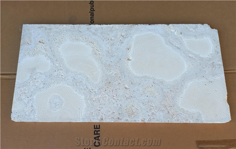 Selected White Coral Stone Tiles
