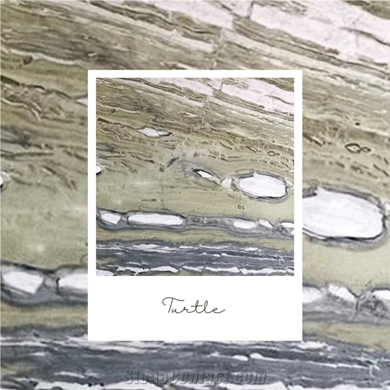 Turtle Marble