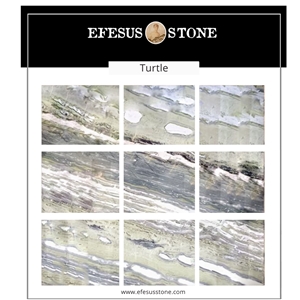 Turtle Marble