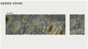 Turtle Marble