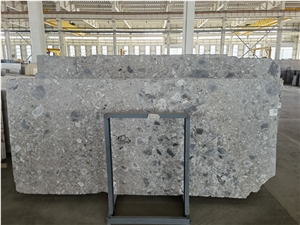 Italy Fossil Grey Marble Slab Tile In China Stone Market