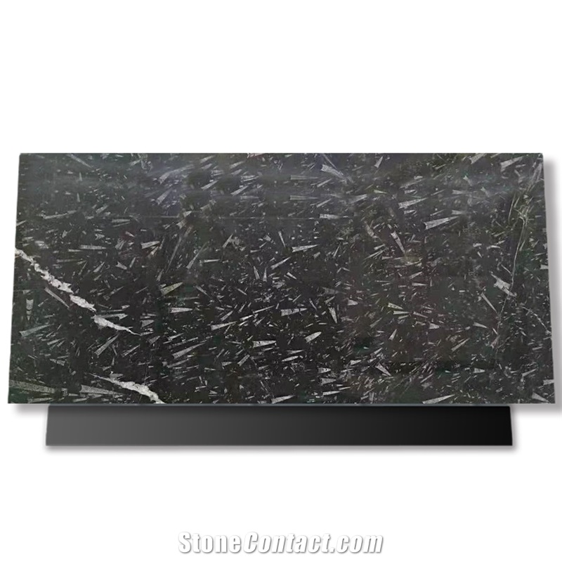 Factory Direct Price Fossil Black Marble